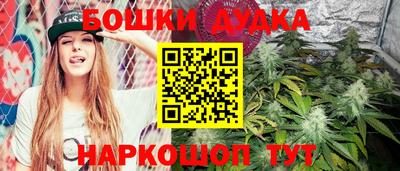 стафф Кохма