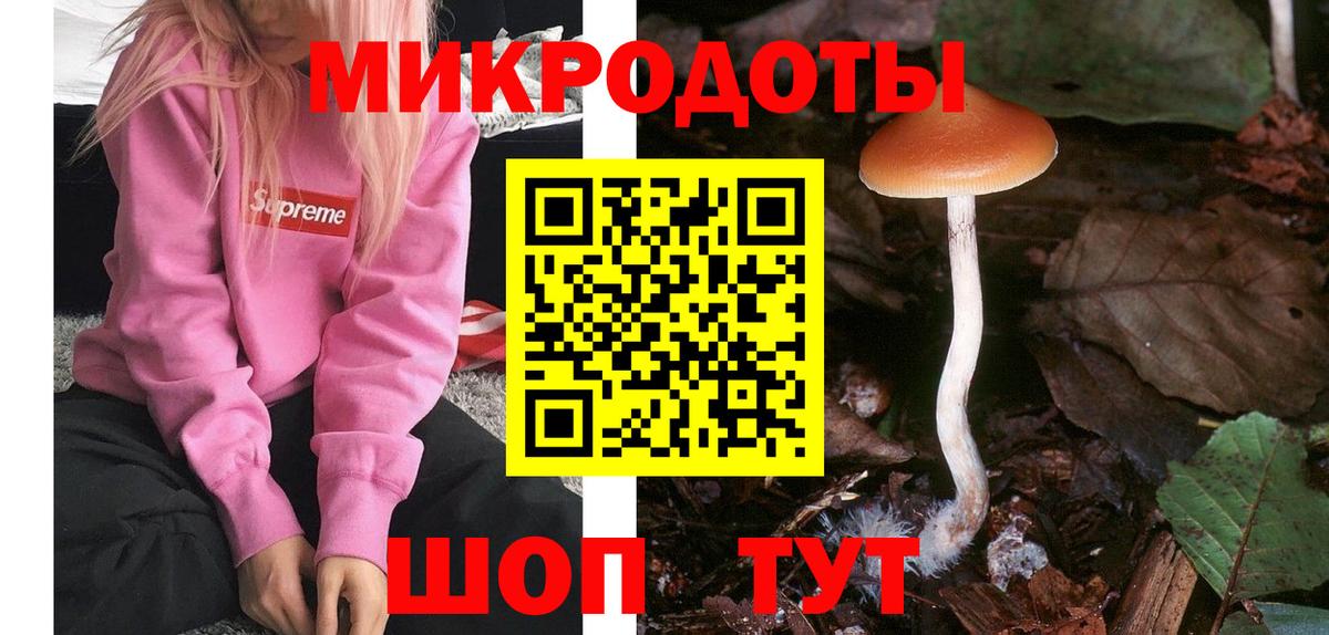Псилоцибиновые грибы мицелий  Вход с VPN  Сыктывкар 
